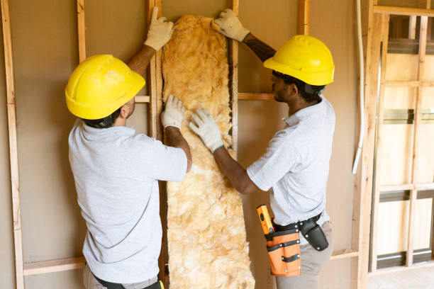 Best Insulation for New Construction  in Macon, MO