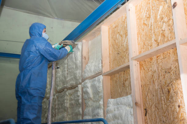 Best Local Insulation Services  in Macon, MO
